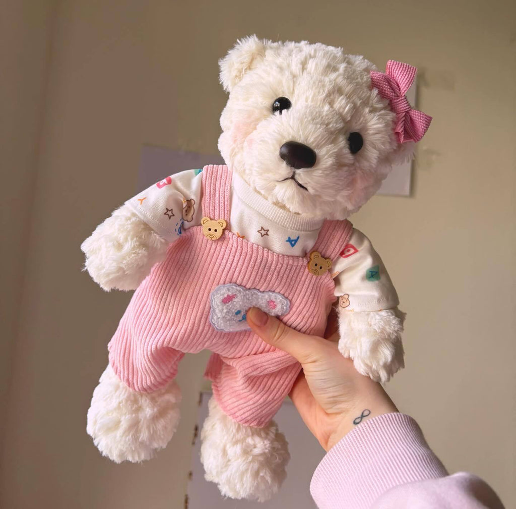 Beautiful Teddy bear 🧸 seeking lovely family!