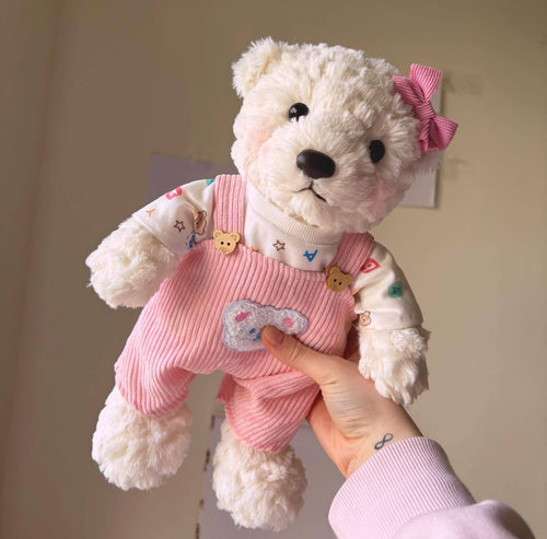Beautiful Teddy bear 🧸 seeking lovely family!